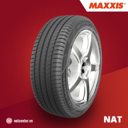 Maxxis MS2