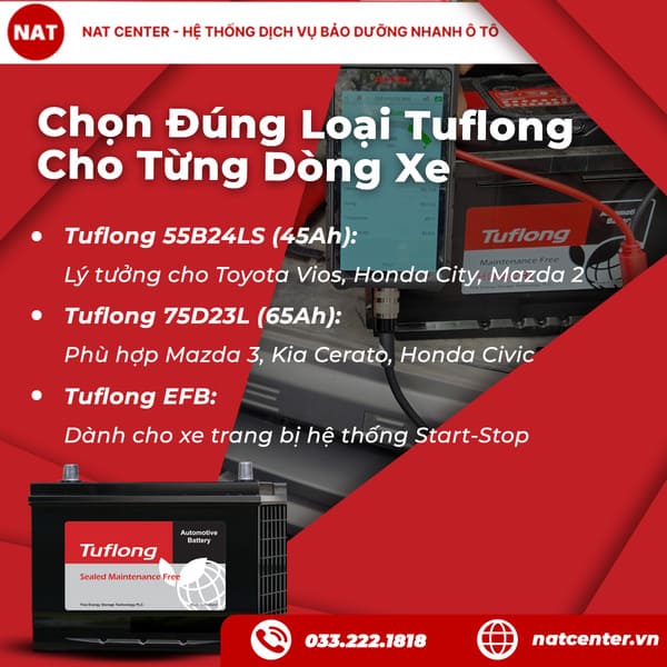 ắc quy tuflong