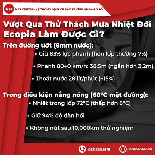 Vượt Qua Thử Thách Mưa Nhiệt Đới - Ecopia Làm Được Gì?