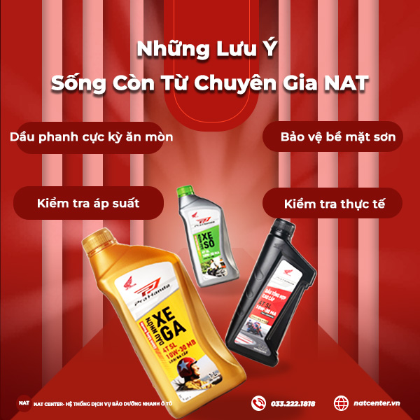 Những Lưu Ý Sống Còn Từ Chuyên Gia NAT