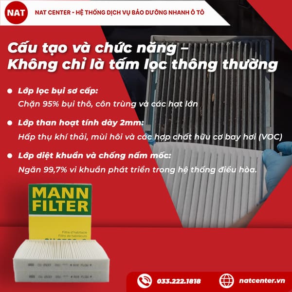 Cấu tạo và chức năng