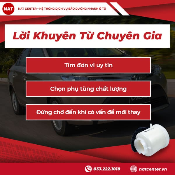 Lời Khuyên Từ Chuyên Gia