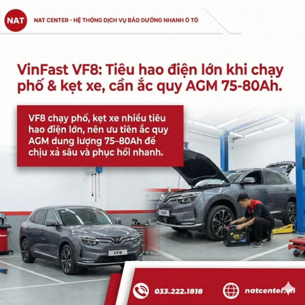 Chọn ắc quy VF8 theo nhu cầu sử dụng