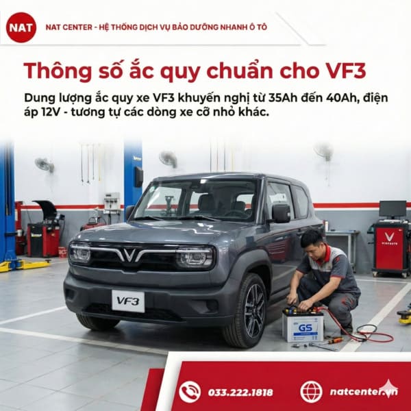 Thông số ắc quy VF3 từ NAT Center