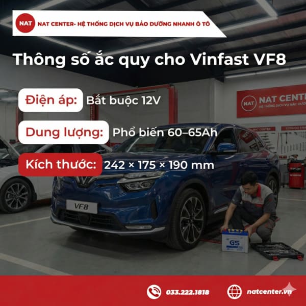 Thông số cho ắc quy VF8 NAT Center